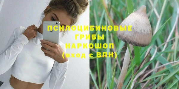 Альфа ПВП Алзамай