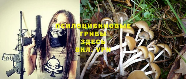 меф Протвино