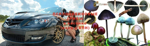 Альфа ПВП Алзамай