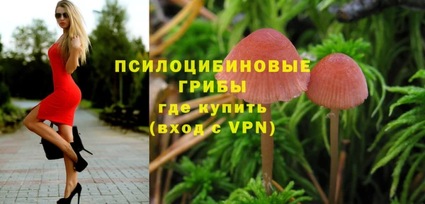 дмт Алексин